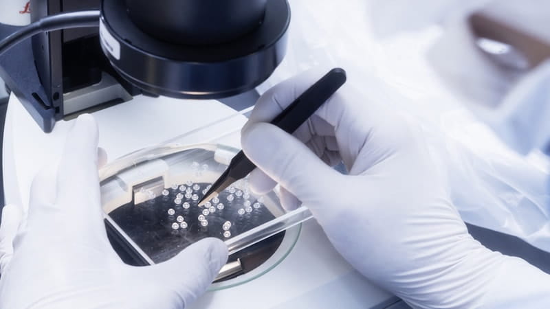 Stein_Cleanroom_Micro_Inspection