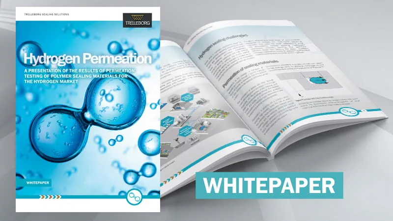 Hydrogen Permeation Whitepaper