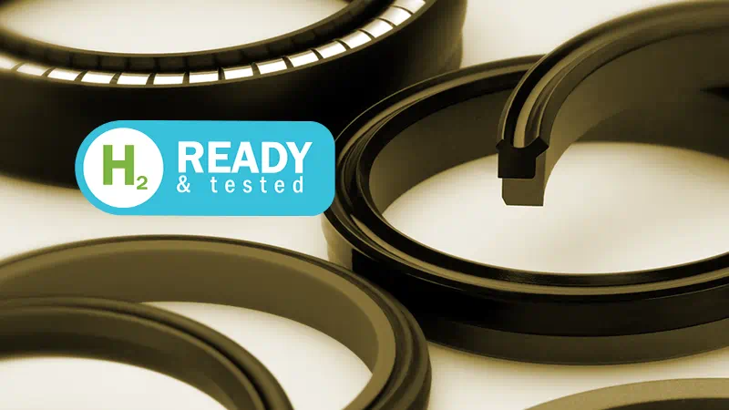 various-seals-hydrogen-sepia